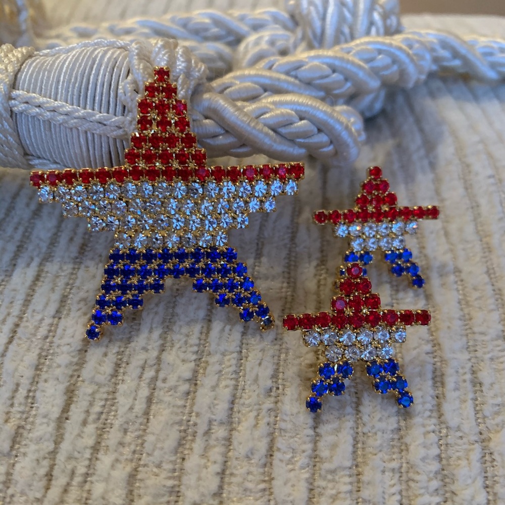 Patriotic star brooch and earring set.